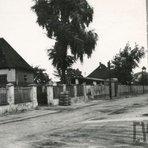 brukowana ulica, przy niej za drewniano-murowanym ogrodzeniem niska zabudowa, przy ulicy drzewa