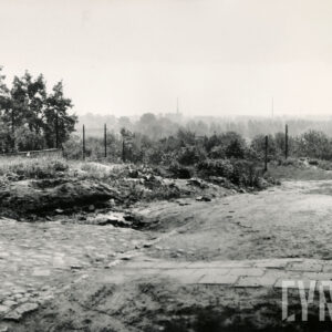 nieużytki, w głębi krzaki, na pierwszym planie fragment bruku i chodnika z płyt betonowych