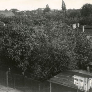 zadrzewiony teren, z prawej parterowe budynki warsztatu mechanicznego