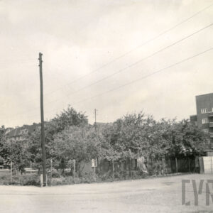 ogródki ogrodzone metalową siatką, z prawej, w głębi kilkupiętrowy budynek mieszkalny