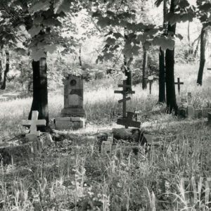 Trzy rzędy uszkodzonych kamiennych nagrobków z krzyżami łacińskimi lub prawosławnymi. W drugim rzędzie nagrobek z pionową tablicą nagrobną. Z tyłu stoją trzy krzyże łacińskie. Teren porasta wysoka trawa. Pomiędzy nagrobkami rosną drzewa.