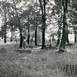 Uszkodzone kamienne nagrobki pomiędzy wysokimi drzewami. Pionowe płyty nagrobne, krzyże łacińskie lub prawosławne. Teren porasta wysoka trawa.