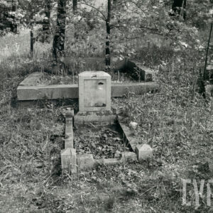 Na środku zniszczony kamienny nagrobek z pionową płytą nagrobną. Za nim fragmenty nagrobków i krzyże łacińskie. Teren porasta wysoka trawa i drzewa.  