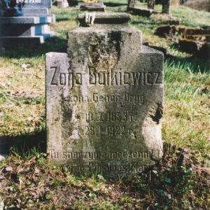 Kamienny nagrobek z inskrypcją. Brak wieńczącego krzyża. Ślad po medalionie portretowym. Za nim inne nagrobki i drzewa. 