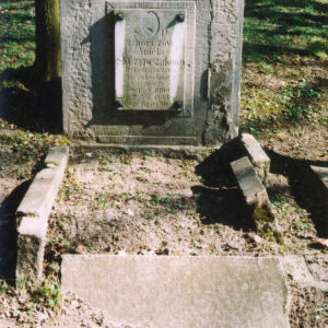 Mogiłę otacza uszkodzony wąski murek. Kwadratowa stela z pionową prostokątną tablicą epitafijną ze śladem po medalionie portretowym. Z tyłu pnie drzew i fragmenty innych nagrobków. 