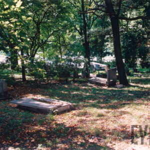 kilka kamiennych nagrobków wśród drzew, na terenie porośniętym trawą leżą suche liście.