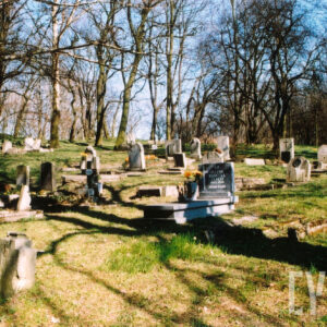 Kamienne nagrobki i płyty nagrobne o różnych kształtach. Na środku jeden współczesny nagrobek. Wokół drzewa bez liści. Błękitne niebo, słoneczny dzień. 