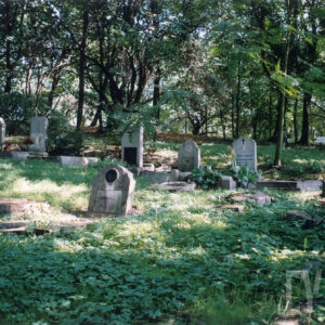 Kamienne nagrobki z pionowymi płytami nagrobnymi. Teren porasta bujna roślinność. Wokół rosną wysokie drzewa liściaste.