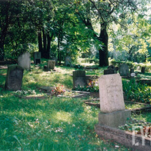 Kamienne nagrobki z płytami nagrobnymi o różnych kształtach. Teren porasta wysoka trawa. Wokół rosną drzewa. Za linią żywopłotu Cmentarz Wspólnoty Brytyjskiej.