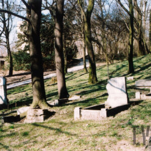 Zniszczone kamienne nagrobki z pionowymi płytami nagrobnymi wśród wysokich drzew. Za nimi alejka i ściana budynku.