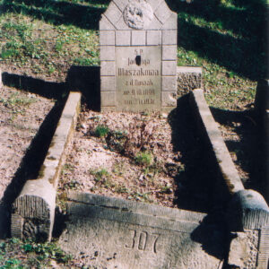 Nagrobek otoczony wąskim murkiem ze zdobioną, prostokątną stelą. Ślad po płaskorzeźbie. Tablica epitafijna z rytymi napisami. Z tyłu trawa i cienie drzew.