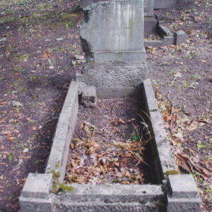 Mogiła obmurowana. Lewy bok steli oraz jej zwieńczenie znacznie zniszczone. Z tyłu inne nagrobki, krzyże i pnie drzew.