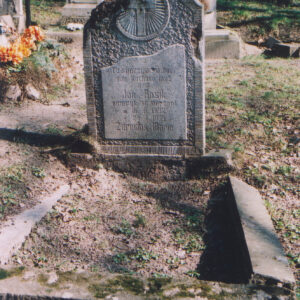 Nagrobek otoczony uszkodzonym szerokim murkiem. Częściowo zniszczona stela z tablicą epitafijną, nad nią medalion z wyrytym krzyżem. W głębi inne nagrobki i drzewa. 