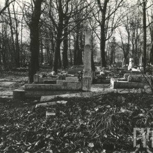 Dwa rzędy nagrobków, pomiędzy nimi drzewa.