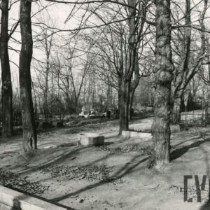 Skrzyżowanie alejek cmentarza, fragmenty nagrobków i metalowe ogrodzenia. 