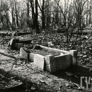 Uszkodzone kamienne nagrobki. Pomiędzy nimi drzewa i krzewy bez liści. 