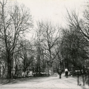 Cmentarz otoczony płotem. Przez bramę wejściową wchodzą dwie kobiety. Za płotem nagrobki i drzewa. 