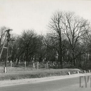 Po drugiej stronie ulicy cmentarz za płotem z metalowej siatki. 