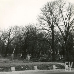Cmentarz otoczony płotem z siatki. Liczne nagrobki wśród drzew.