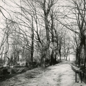 Szeroka aleja, po bokach wysokie drzewa i nagrobki. Na końcu alei duży, drewniany krzyż łaciński.