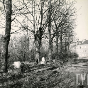 Kilka zniszczonych grobów pomiędzy drzewami, porośniętych wysoką trawą. Po prawej stronie alejka i budynek ze spadzistym dachem. 
