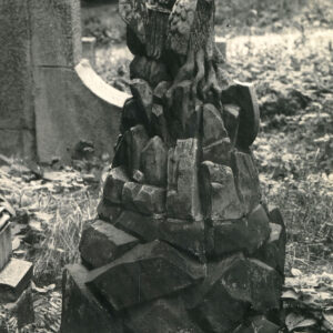 Tył figury anioła z rozpostartymi skrzydłami siedzącej obok pnia drzewa na kamiennym kopczyku. Wokół inne nagrobki.