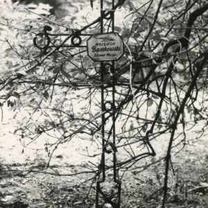 Żelazny krzyż z białą tabliczką z napisami, osadzony na kamiennym cokole wśród gałęzi drzew.