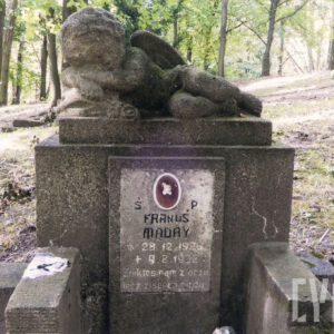 Masywny cokół z tablicą epitafijną i medalionem portretowym, na którym ustawiono rzeźbę śpiącego na poduszce chłopca z różą w dłoni. Z tyłu drzewa. 