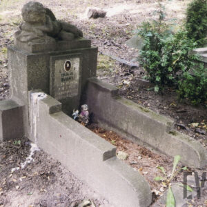 Kamienny nagrobek  w kształcie cokołu, na którym ustawiono rzeźbę śpiącego z głową na poduszce chłopca i różą w dłoni. Zabrudzone obmurowanie. Wewnątrz niego stoi figurka anioła. Obok fragment innego nagrobka i krzewy.