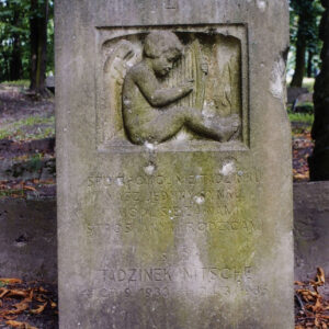 Zabrudzona, pokryta śladami po pociskach i zielonym nalotem stela z krzyżem greckim w górnej części. Pod nim nisza, w której wyrzeźbiono nagiego chłopca ze skrzydłami, grającego na harfie. Poniżej inskrypcja.