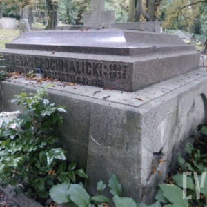 Dobrze zachowany doży nagrobek w kształcie leżącej płyty. Na boku podstawy wyodrębniony napis. Wokół krzewy, drzewa i inne nagrobki.