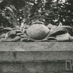 cokół z ciosów granitowych, przed którym stoi rzeźba przedstawiająca żołnierza w polowym mundurze z hełmem na głowie, leżącego w nurtach symbolizowanej falistymi liniami rzeki, obejmującego ręką drzewce sztandaru uwieńczone orłem