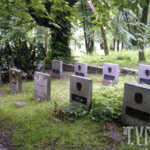 dwa rzędy prostokątnych płyt nagrobnych z tablicami epitafijnymi pośrodku i umieszczonymi nad nimi symbolami orłów lotniczych z czasów II RP, w tle widoczne drzewa