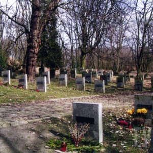 nagrobki w kilku rzędach w formie prostokątnych płyt nagrobnych z tablicami epitafijnymi pośrodku, w tle widoczne drzewa