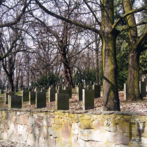 nagrobki w kilku rzędach w formie prostokątnych płyt nagrobnych otoczone drzewami