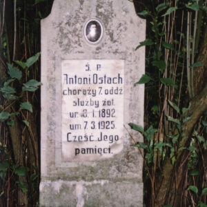 pionowa prostokątna płyta nagrobna stojąca na cokole, ze zdjęciem zmarłego umieszczonym w medalionie portretowym i wyrytymi napisami w języku polskim