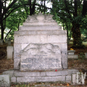 cokół z ciosów granitowych, przed którym stoi rzeźba  przedstawiająca żołnierza w polowym mundurze z hełmem na głowie, leżącego w nurtach symbolizowanej falistymi liniami rzeki, obejmującego ręką drzewce sztandaru uwieńczone orłem