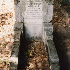 Pokryty nalotem, obmurowany nagrobek ze stelą zdobioną na brzegach. Pośrodku tablica z inskrypcją. Z tyłu inne nagrobki.