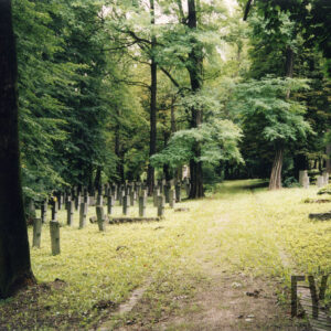 Wąska, porośnięta trawą alejka, po której bokach znajdują się nagrobki. Pomiędzy nimi drzewa. 