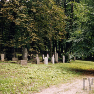 Liczne nagrobki powyżej wąskiej alejki. Za nimi drzewa liściaste.