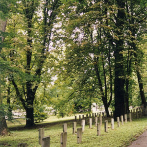 Kilka rzędów nagrobków w kształcie uproszczonego krzyża. Pomiędzy nimi drzewa.