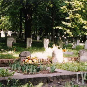 Rząd obmurowanych mogił, na których osadzono kamienne płyty nagrobne z napisami. Zieleń wewnątrz obmurowań. Z tyłu liczne nagrobki. 