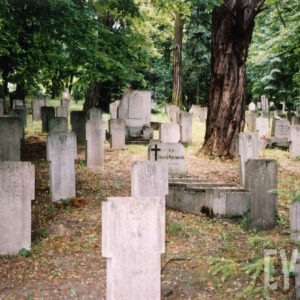 Liczne nagrobki w formie uproszczonych krzyży i kilka nagrobków w formie steli. Pomiędzy nimi drzewa liściaste.