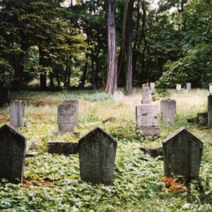 Kilka rzędów płyt nagrobnych w różnych kształtach. Za nimi drzewa. Teren porasta zieleń. 
