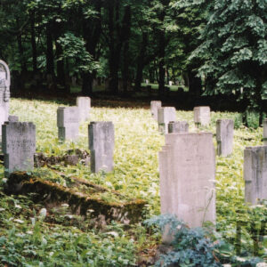 Wiele nagrobków w kształcie uproszczonych krzyży, wśród nich wysoka płyta nagrobna z płaskorzeźbionym piórem. Z tyłu drzewa, pomiędzy którymi znajdują się kamienne nagrobki.  