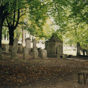 monumentalny, kamienny grobowiec w otoczeniu kilku rzędów nagrobków. Pomiędzy nimi drzewa. 