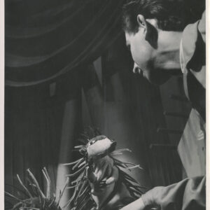 głowa mężczyzny pochylającego się nad kukiełkami przedstawiającymi jeże