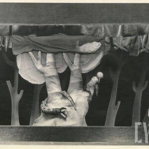 scenografia przedstawia las, na scenie znajdują się trzy lalki - dzięcioł siedzący na drzewie, wąż oplatający konar i zając stojący obok drzewa