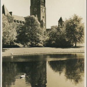 sadzawka otoczona drzewami, w głębi wieża i dachy zamku