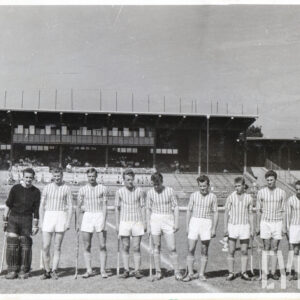 grupa mężczyzn w strojach sportowych stojących w rzędzie na trawiastym boisku, wszyscy trzymają w dłoniach laski hokejowe, a jeden z nich nosi dodatkowe ochraniacze na nogach, w głębi trybuny stadionu